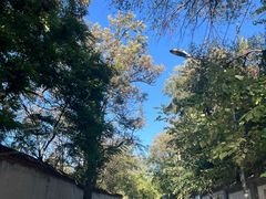 -鬼笑石后山停车场