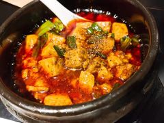 -陈麻婆豆腐总店