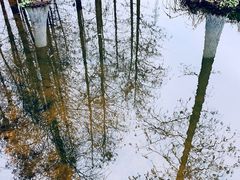 -重庆彩云湖湿地公园
