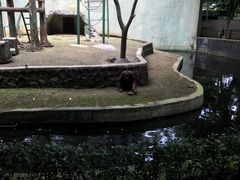 -拉古南动物园