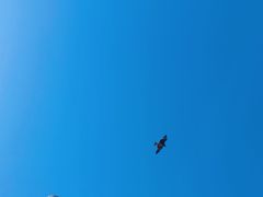-鼓浪屿内厝澳码头(轮渡站)