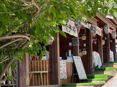 -苍山世界地质公园·石门关大峡谷