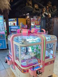 -卡通尼·Safari非洲探索乐园·生日会(金桥国际商业广场店)