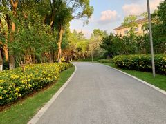 -昆山城市生态森林公园