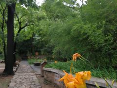 -云峰山自然风景区