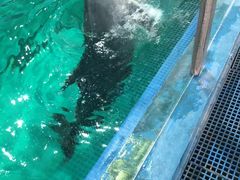 -苏州海洋馆