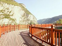 -武陵山森林公园