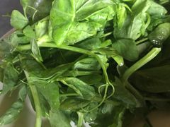 -朝伟清真铜瓢牛肉馆(三十年老·店)