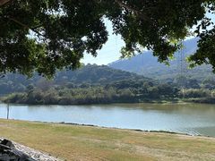 -风云岭森林公园