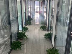 -新航道雅思托福·留学·考研培训(人民广场校区)