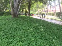 -丰台花园