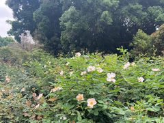 -人民公园(罗湖区)