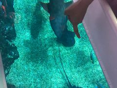 -暹罗海洋世界