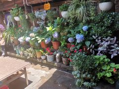 -龙姐私房菜(和顺古镇店)