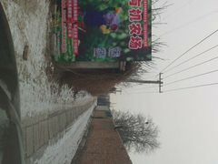-大自然农场蔬菜草莓采摘园