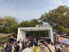 -金鸡湖桃花岛