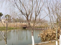 -上海长兴岛郊野公园