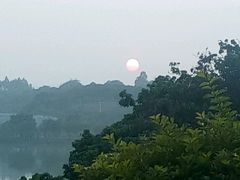 -鹤之洲湿地公园