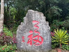 -七仙岭温泉国家森林公园