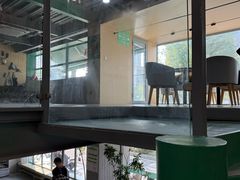 -绿壁虎攀岩基地(Tcar店)