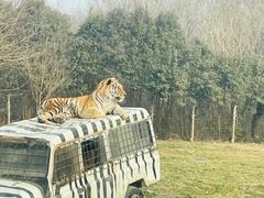 -西安秦岭野生动物园