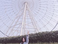 -琴岛之星摩天轮