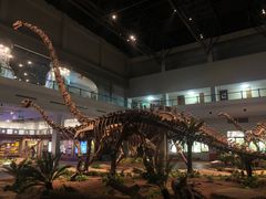 -自贡恐龙博物馆
