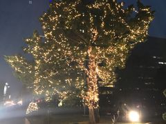 -北海道厅旧本厅舍(旧本庁舎)