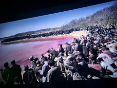 -北京英嘉国际影城(金源CINITY店)