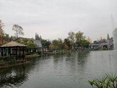 -成飞公园