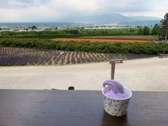 -富田农场
