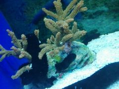 -水上乐园·欢乐世界