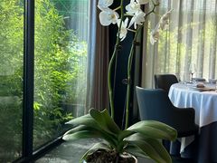 -蘇锦宴·淮扬菜烤鸭·小院(三元桥霄云路店)