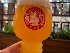 -Boxing Cat Brewery拳击猫精酿啤酒馆(永福店)