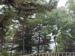 -山西乌金山旅游区