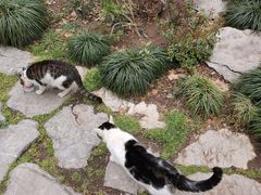 -静安公园(静安寺街道)