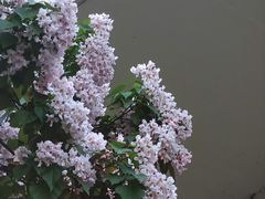 -漕溪路(地铁站)