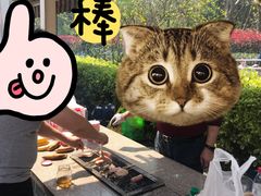 -吴淞炮台湾湿地森林公园烧烤区