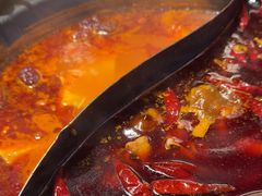 -蜀大侠火锅(总府路店)