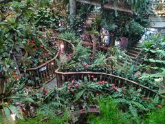 -正佳雨林生态植物园