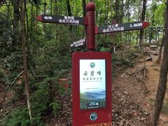 -云碧峰国家森林公园