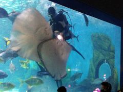 -常州海昌海洋探索馆