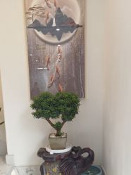 -海涛医疗美容·面部抗衰·注射美鼻