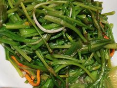 清炒水性杨花-老滇山寨•云南特色菜•地方菜•民族风情歌舞表演(金碧店)