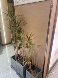 -一東造型烫发染发