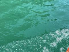 -石燕湖生态旅游景区