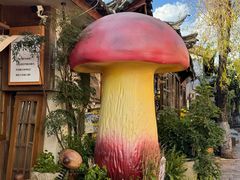 -菌自由丨野生菌火锅特色庭院餐厅(丽江古城店)