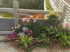 -深圳国际园林花卉博览园