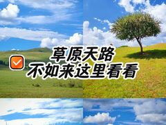 -御道口草原森林风景区