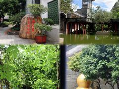 -广州神农草堂中医药博物馆